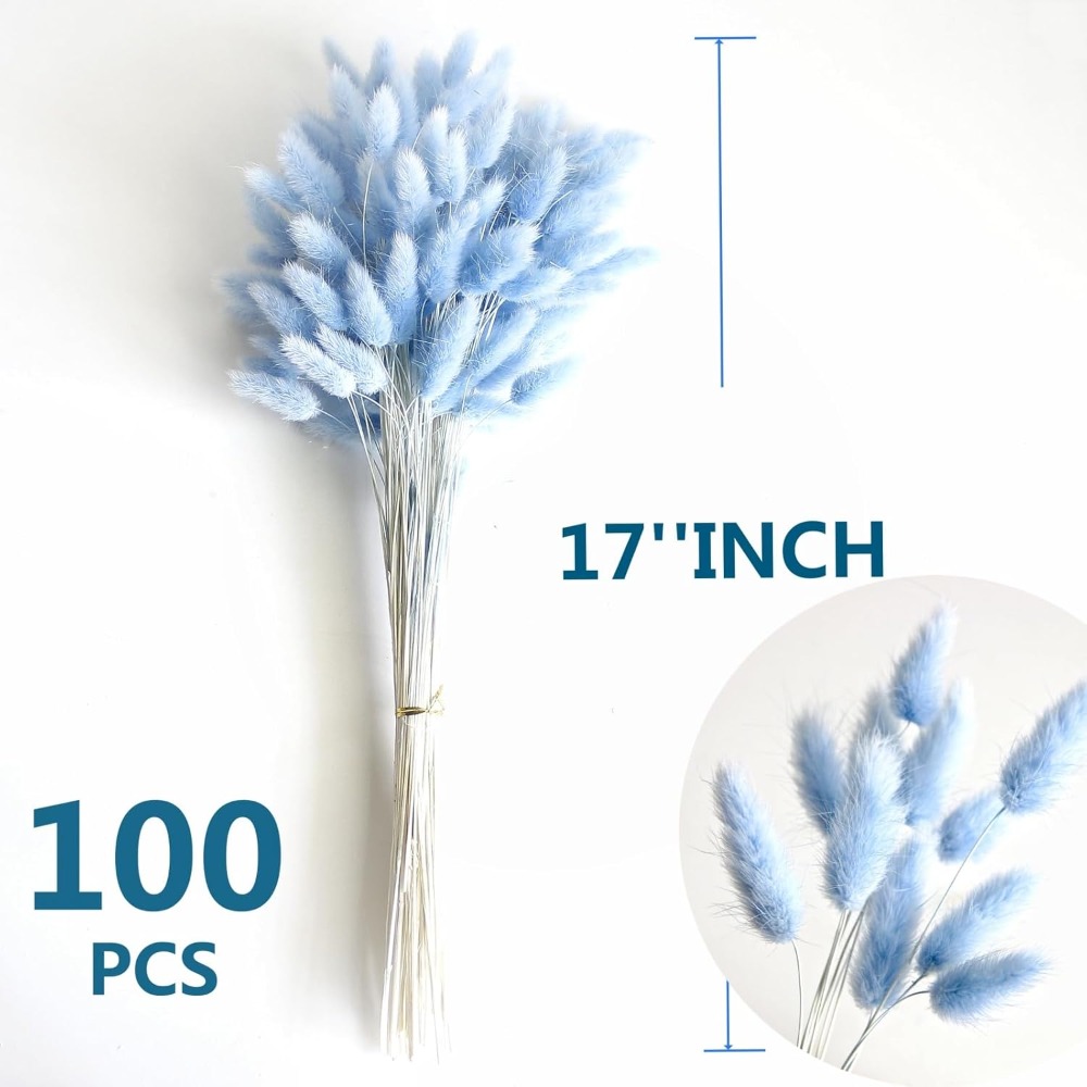 100 adet mavi tavşan kuyruğu ç - Pampas Grass Decor incelemesi ve fiyatı